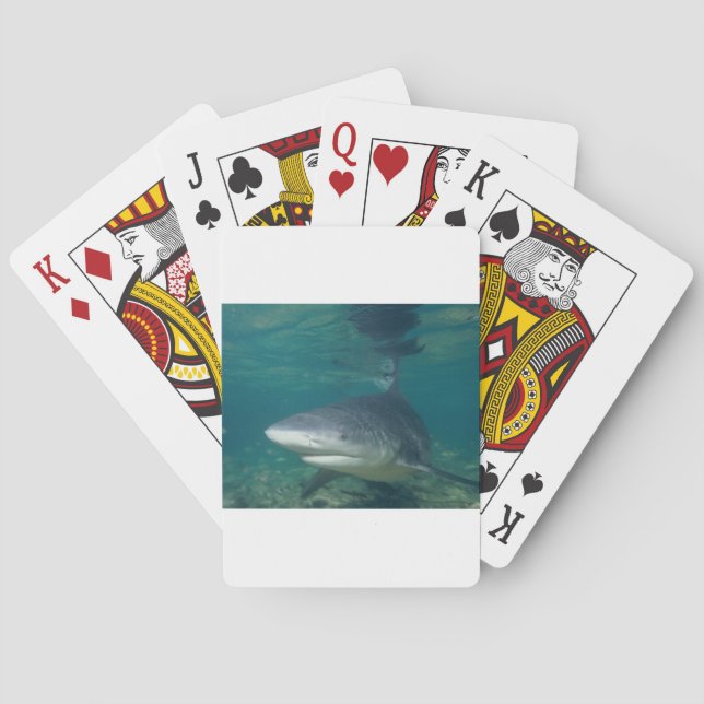 Bullshark Poker Cards (Back)
