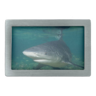 Bullshark Rectangular Belt Buckle