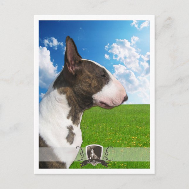 Bullterrier PostCard 2011 (Front)