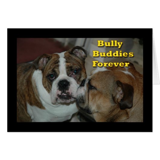 bully buddies cards (Front Horizontal)