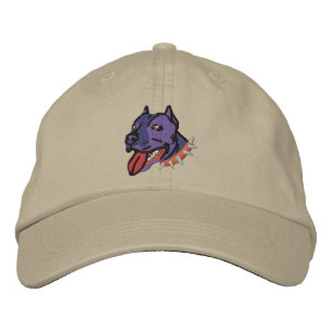 Bully Cap