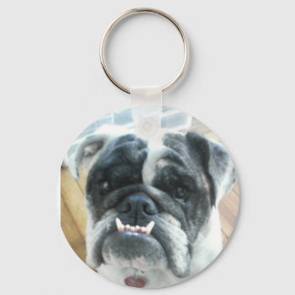 Bully Keychain