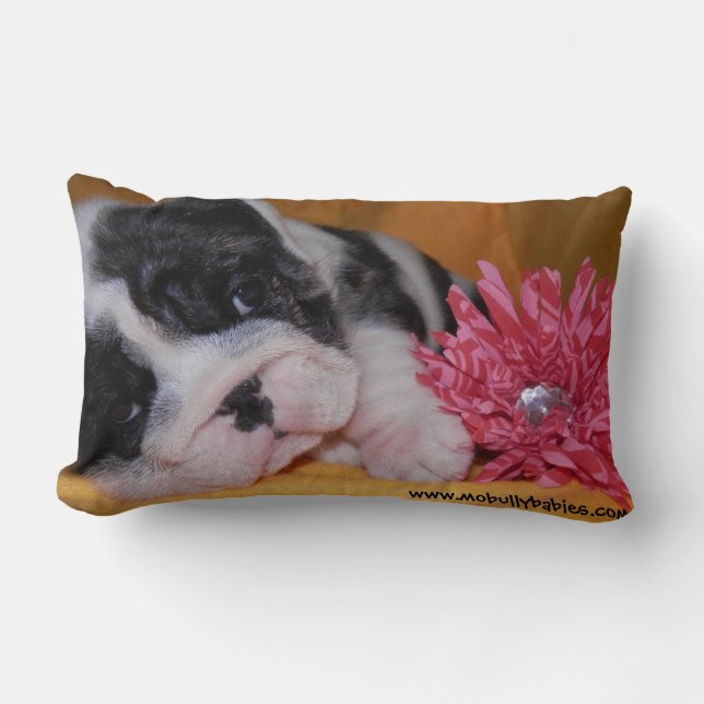 Bully Love Bulldog Pillow (Front)