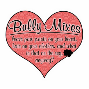 Bully Mixes Paw Prints Dog Humor Statuette
