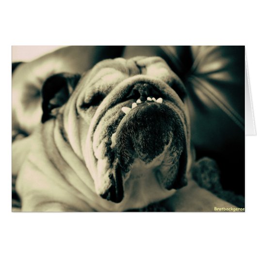 Bully Teeth (Front Horizontal)