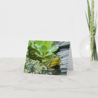 Bully the Bullfrog Thank You Card