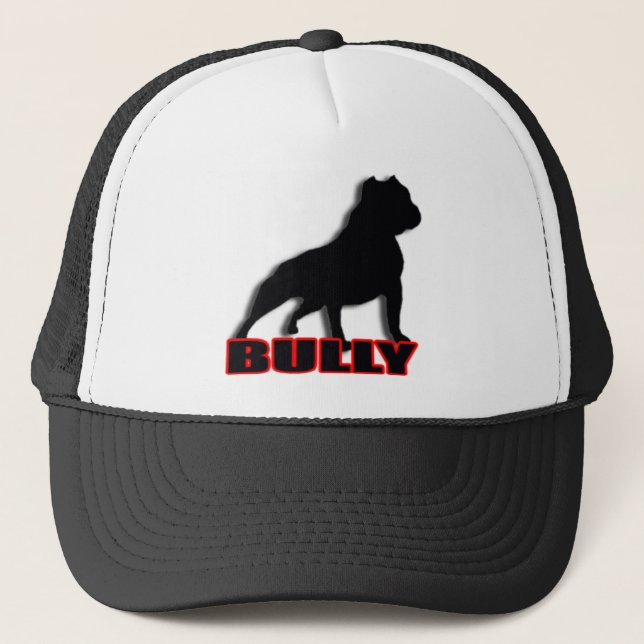 BULLY TRUCKER HAT (Front)