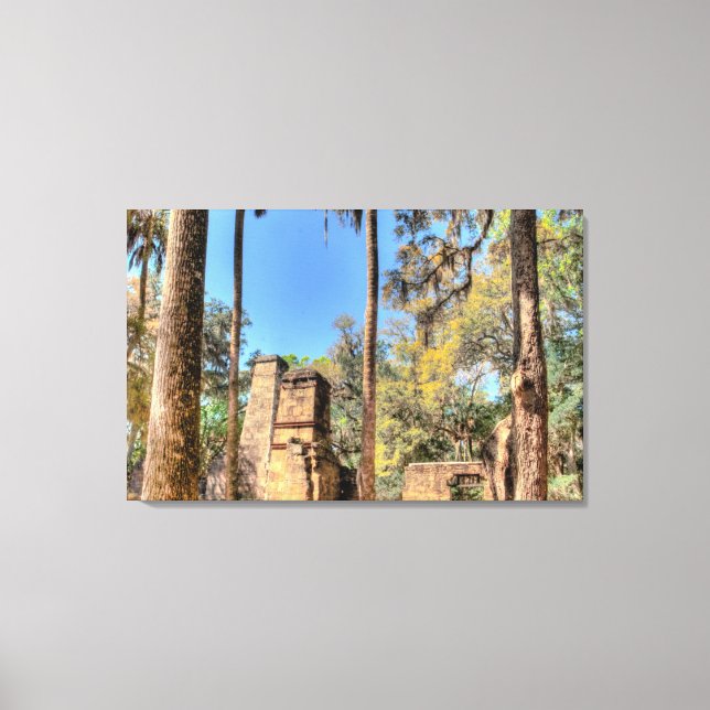 Bulow Plantation Ruins, Florida Canvas Print (Front)