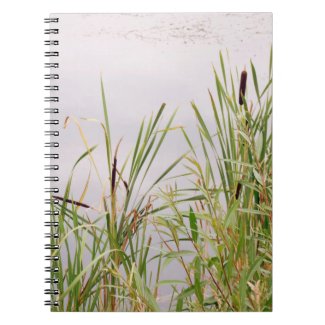 Bulrushes By Water Notebook