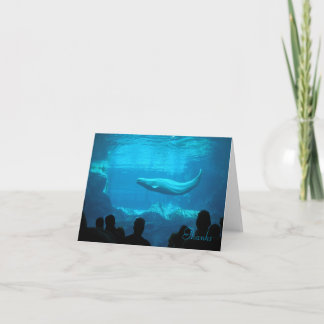 Buluga Whale thank you card