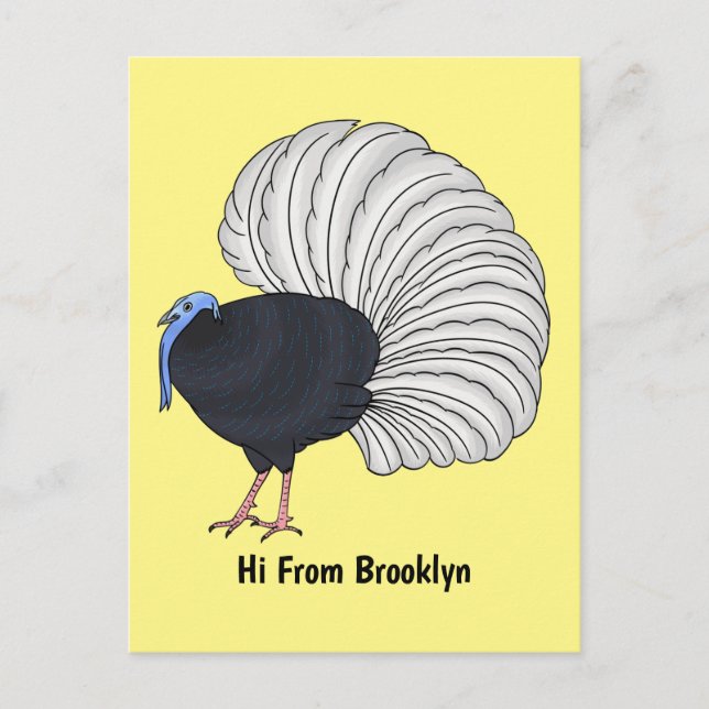 Bulwer's pheasant bird cartoon illustration postcard (Front)