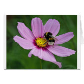 bumble bee (Front Horizontal)