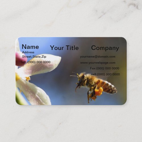 Bumble Bee all covered in pollen Business Card