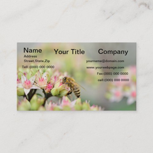 Bumble Bee all over a beautiful flower Business Card