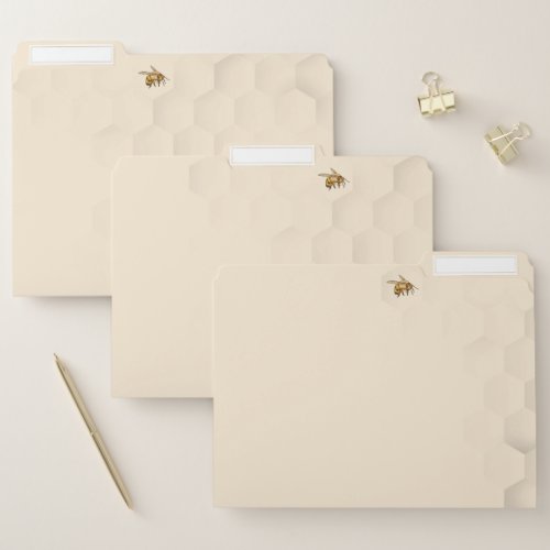 Bumble Bee and Honeycomb  File Folder