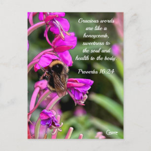 Bumble Bee Bible Verse - Postcard