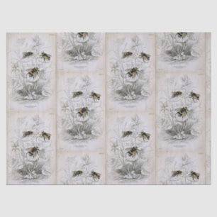 Bumble Bee Botanical Tissue Paper