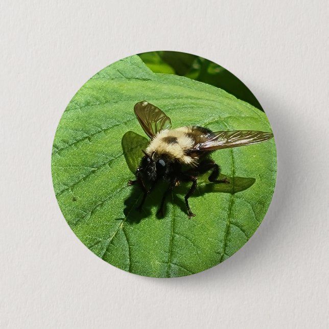 Bumble Bee Button (Front)