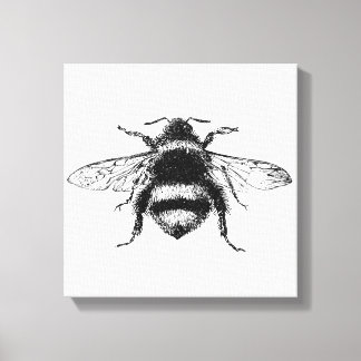 Bumble Bee Canvas Print