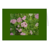 bumble bee card (Front Horizontal)