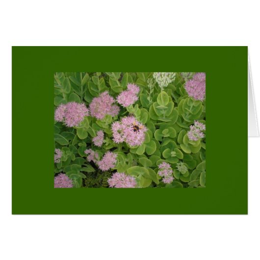 bumble bee card (Front Horizontal)