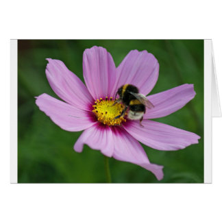bumble bee cards