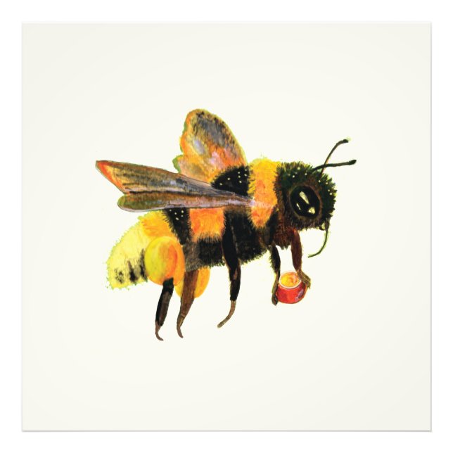 Bumble Bee carrying pollen  Photo Print (Front)