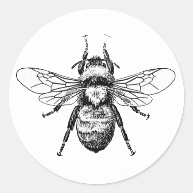 Bumble Bee Classic Round Sticker (Front)