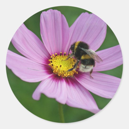 bumble bee classic round sticker | Zazzle.com