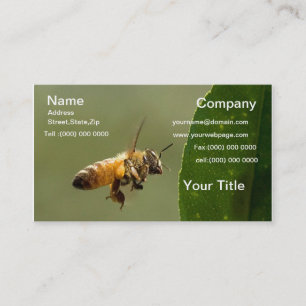 Bumble Bee Flying Business card