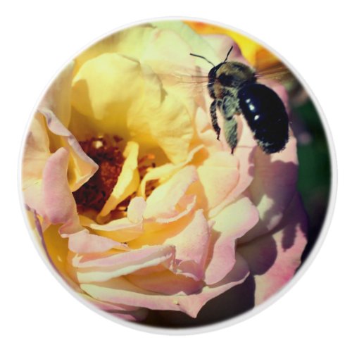 Bumble Bee Flying Into Pink Rose Close Up  Ceramic Knob