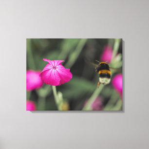 Bumble Bee Flying Toward Flower Botanical Photo Canvas Print