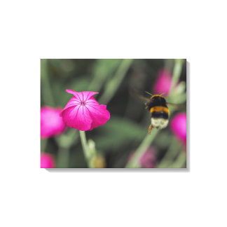 Bumble Bee Flying Toward Flower Botanical Photo Canvas Print