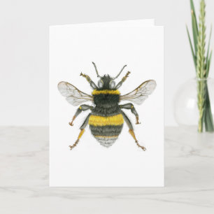 Bumble Bee Greetings Card