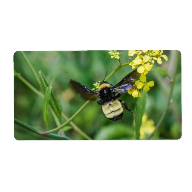 Bumble Bee in Flight Label (Front)