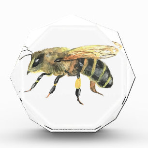 Bumble bee Insect Watercolor Spring Cute Award