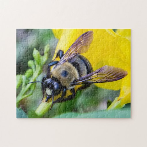 Bumble Bee Jigsaw Puzzle | Zazzle