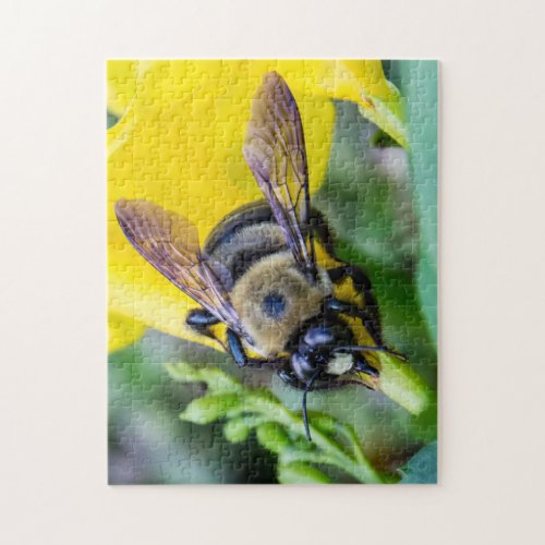 Bumble Bee Jigsaw Puzzle