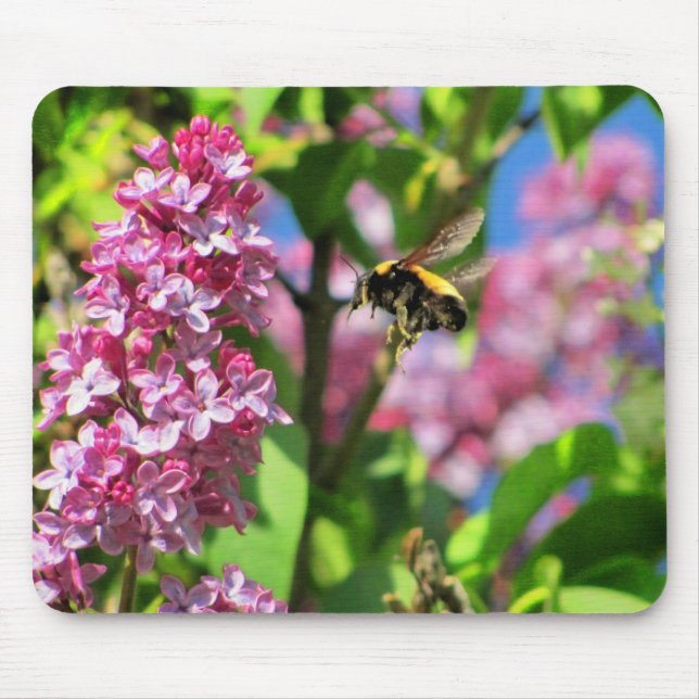 Bumble Bee Landng on Lilacs Mouse Pad (Front)