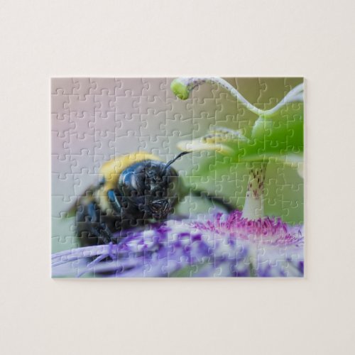 Bumble Bee macro photograph Jigsaw Puzzle