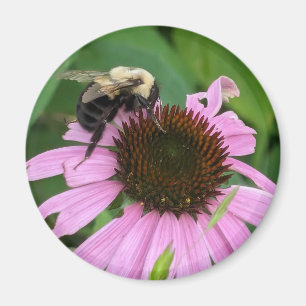 Bumble Bee Magnet