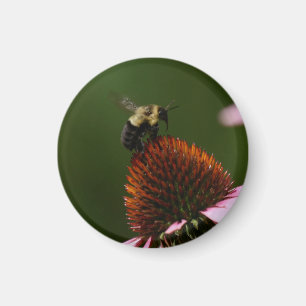 Bumble Bee Magnet