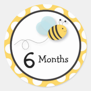 Bumble Bee Monthly Milestone Stickers