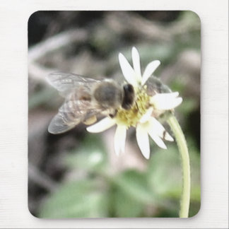 Bumble Bee Mousepad