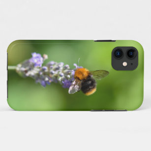 Bumble Bee On A Lavender  iPhone 11 Case