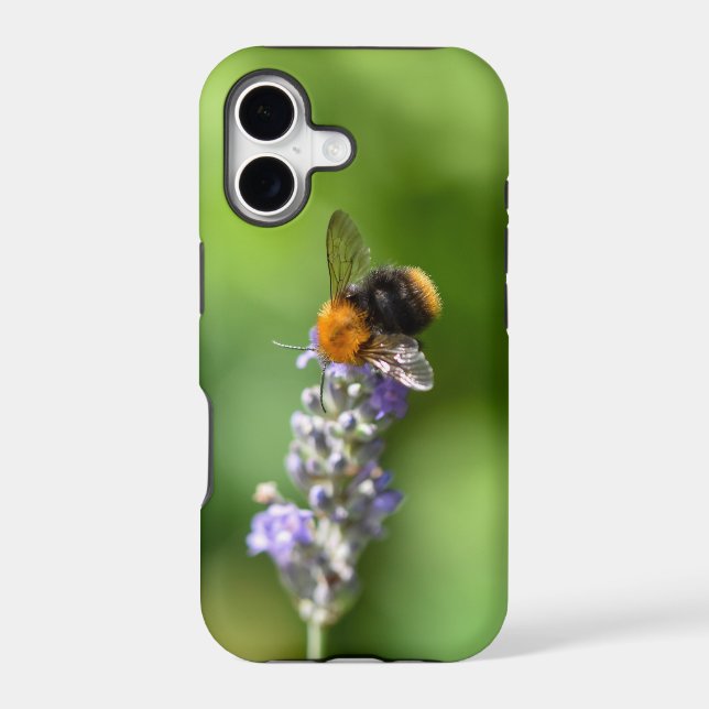 Bumble Bee On A Lavender  Iphone Case (Back)