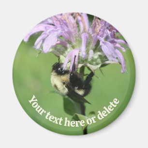 Bumble Bee On Bee Balm Flower Personalized Magnet