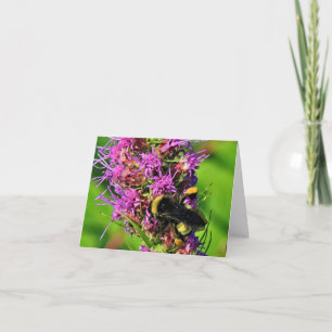 Bumble Bee on Blazing Star Note Card