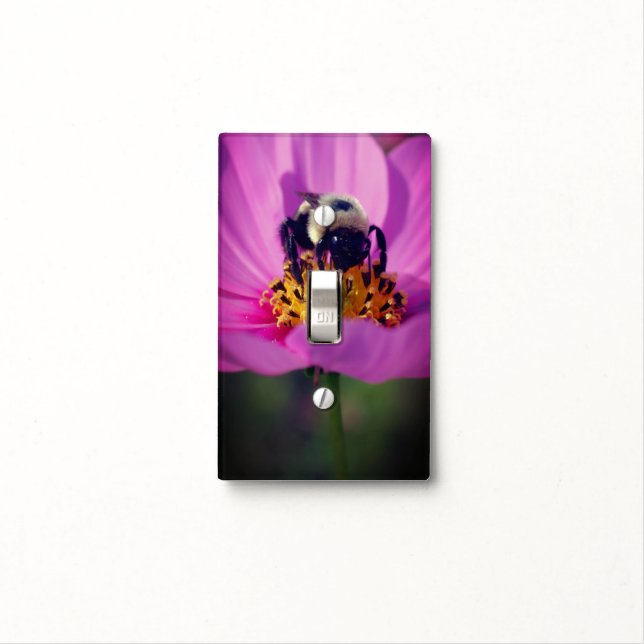 Bumble Bee On Cosmos Flower    Light Switch Cover (In Situ)