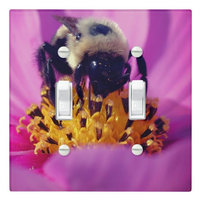 Bumble Bee On Cosmos Flower     Light Switch Cover (In Situ)